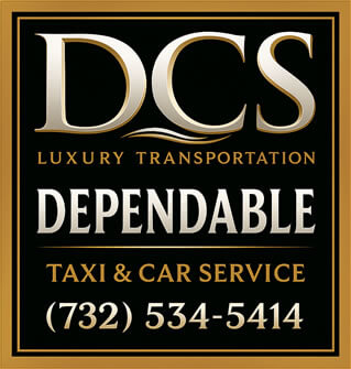 dcs logo