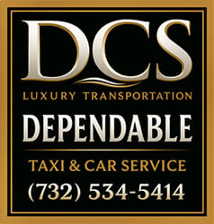 dcs logo
